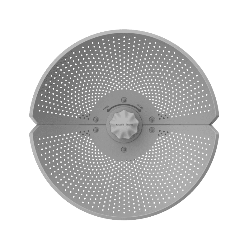 RG-AirMetro460G