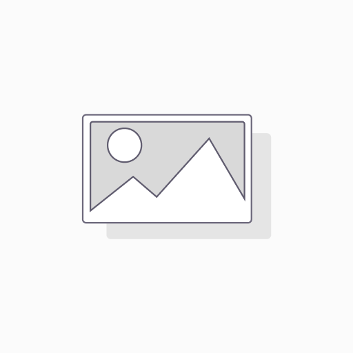 BulletCam HL (8 Mp/4 mm) Black - 126258.217.BL1